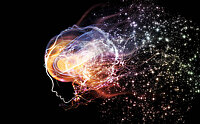 Side view of a schematic face in front of a dark background with stars as an advertisement for the Long Night of Science in 2017